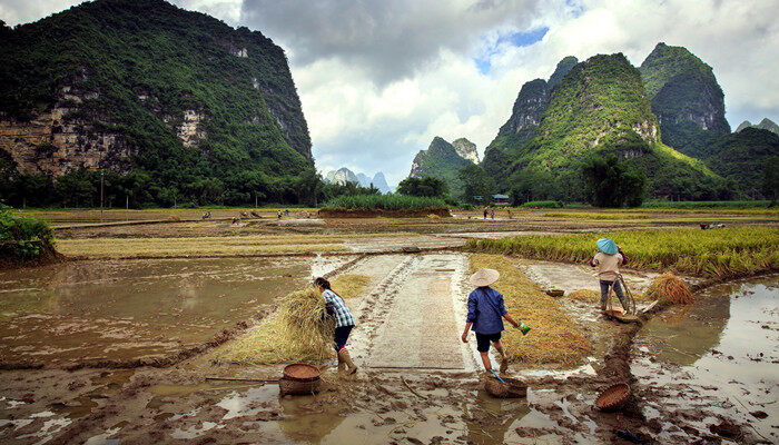 干旱地区最有效的节水灌溉方式